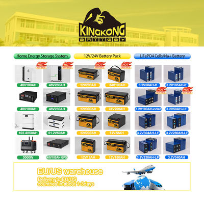 BS 16S 51.2V 100A 200A Smart 48V BMS für Lifepo4 Batterie mit 485 Rs Can Port