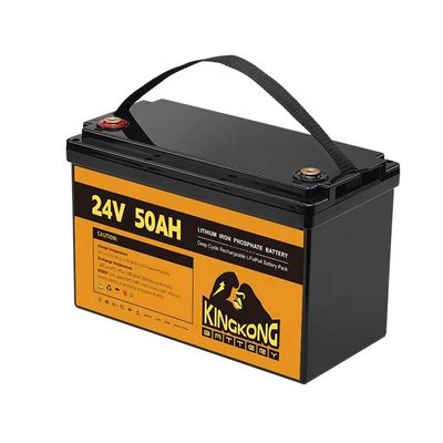 24V 50Ah 60Ah 100Ah 200Ah 230Ah 300Ah 400Ah 460Ah Eisen Lithium LifePo4 Batterie mit BMS