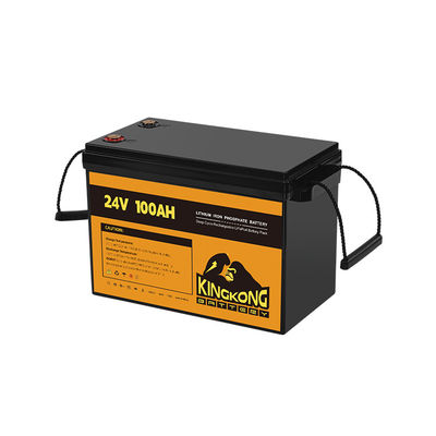 24V 50Ah 60Ah 100Ah 200Ah 230Ah 300Ah 400Ah 460Ah Eisen Lithium LifePo4 Batterie mit BMS