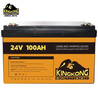 168g LiFePO4 Prismatische Batterie-Kiste Ersatz-Kast Plastik 12V 280AH 310AH Speicherung von Energie