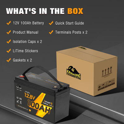 Personalisiertes elektrisches Boot Lifepo4 Batteriepaket 12V 24V 36V 48V 60V Volt Lithium-Ionen-Batteriepaket für Boot RV Camper Auto