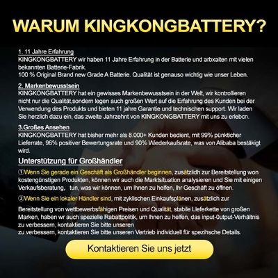 51,2V 300Ah Wand-LiFePO4-Batterie-Solar-Speichersystem, 15 kWh, 10 Jahre Garantie, APP-Überwachung, 8000+ Zyklen, CE/RoHS