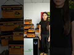 12V 48V 120Ah 150Ah 170Ah 200Ah 300Ah LiFePO4 Lithium-Ionen-Batterie für U-Boote