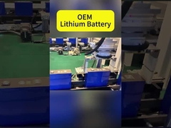 OEM-Lithiumbatterie