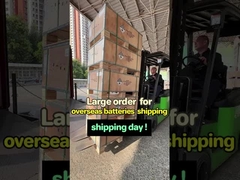 Das Solarzellenspeichersystem wurde von Guangzhou an unseren Agenten geliefert.