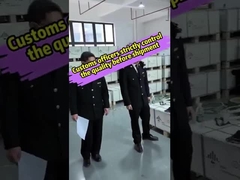 Die Zollbehörden kontrollieren die Qualität der Energiespeichersysteme vor dem Versand nach Afrika streng.