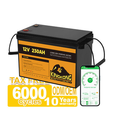 Elektrowerkzeuge OEM ODM 12,8V 100ah 200ah 300ah Lithiumbatterie 12V mit APP-Steuerung