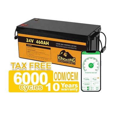 24V 50Ah 60Ah 100Ah 200Ah 230Ah 300Ah 400Ah 460Ah Eisen Lithium LifePo4 Batterie mit BMS