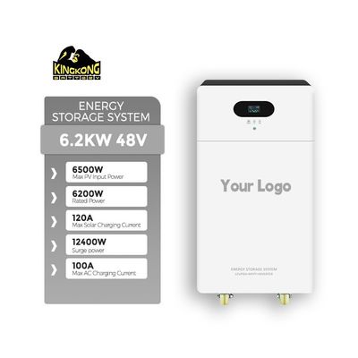 3.6KW Dual Output Monocrystalline Silizium Solar Inverter mit 24V 100Ah Lithiumbatterie