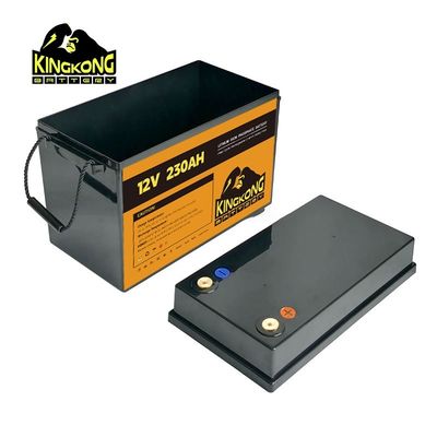 12v 24v 36v 48v Schwarz OEM Lifepo4 Prismatische Zellkasten zum Ersetzen der Batterie